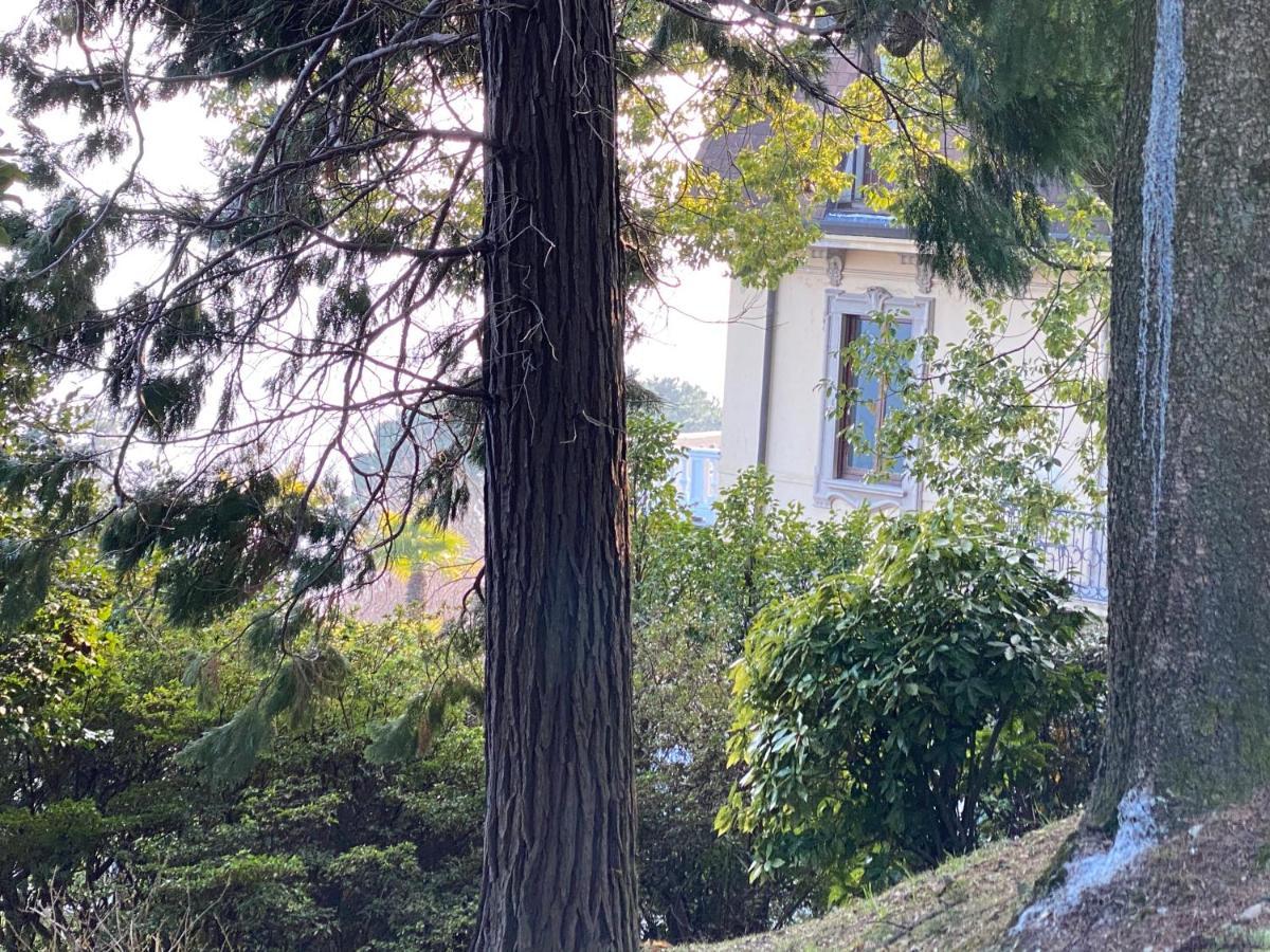 希法Frankie'S House住宿加早餐旅馆 外观 照片