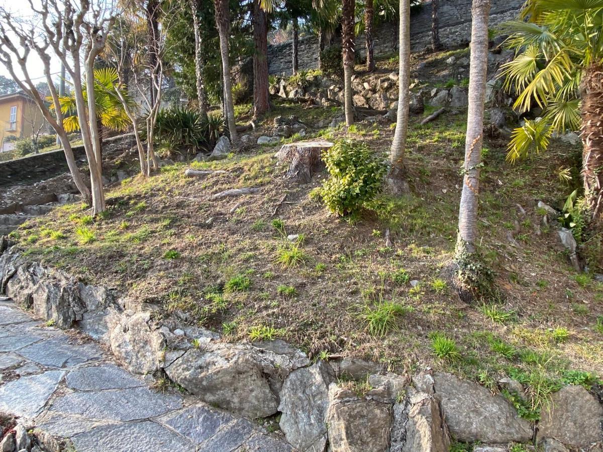 希法Frankie'S House住宿加早餐旅馆 外观 照片