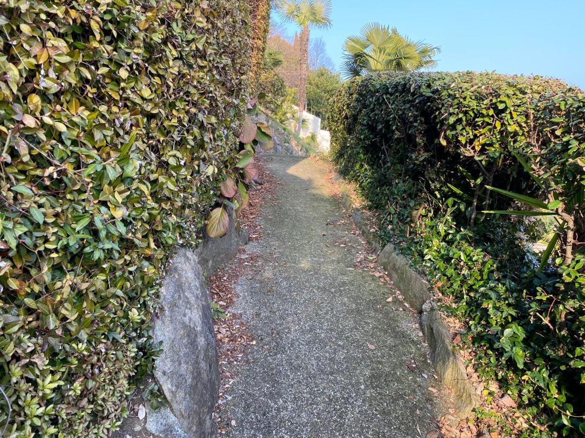 希法Frankie'S House住宿加早餐旅馆 外观 照片